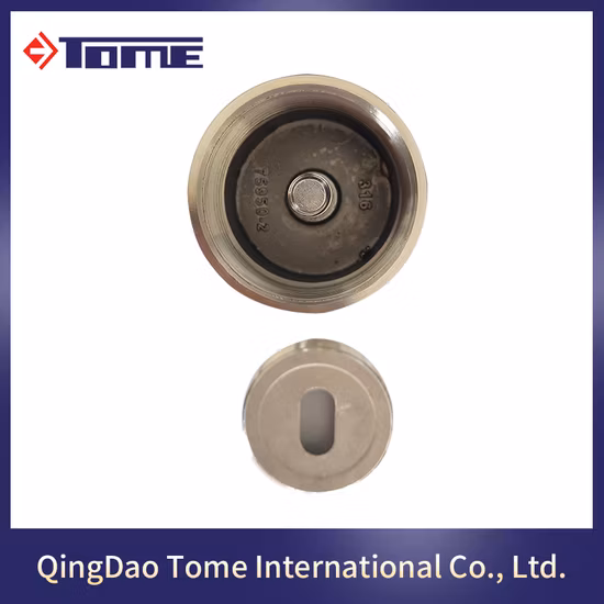 304 316 2205 ステンレス鋼のガラス継手アクセサリー手すり手すりガラススペーサー